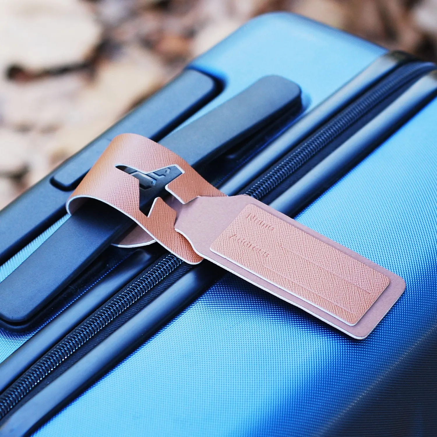 Travel Wallet - Cat Kitty